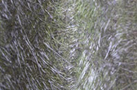 St Anthonys fibreglass roof work